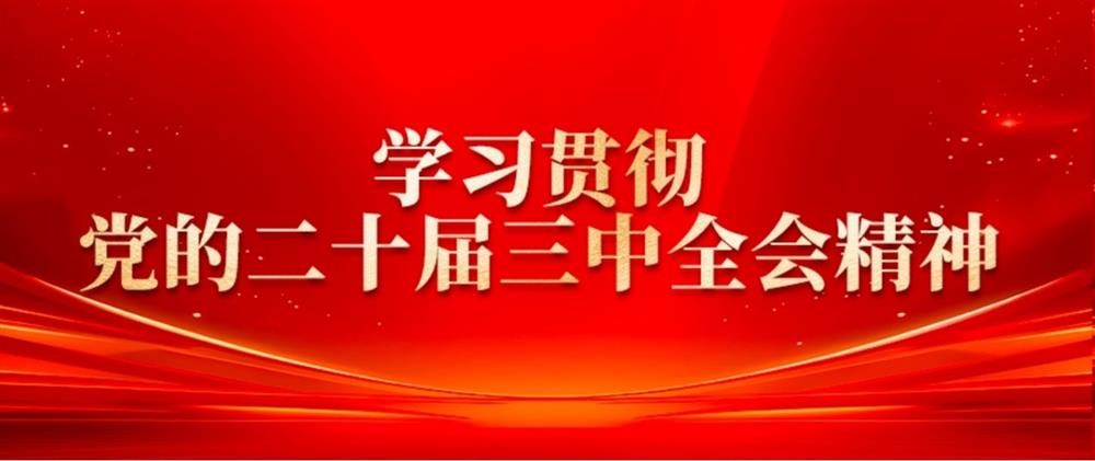 學(xué)習(xí)貫徹黨的二十屆三中全會精神③ 濟(jì)糧集團(tuán)黨委書記、董事長王暉： 提升綠色倉儲水平，扛穩(wěn)糧食安全重任